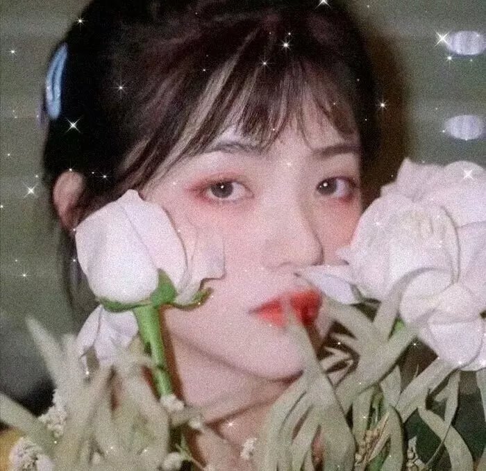 云之羽